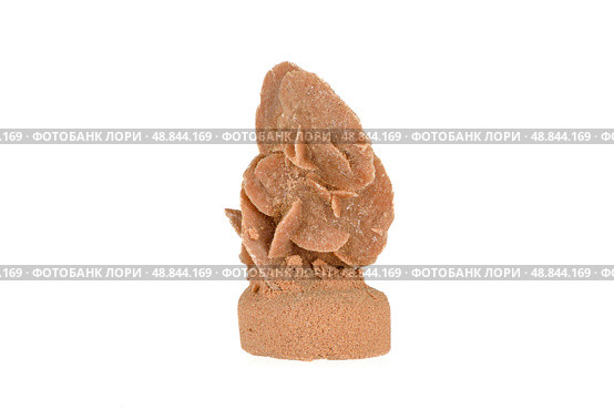 Desert rose gypsum mineral specimen on white background. Стоковое фото, фотограф Сергей Долгов / Фотобанк Лори