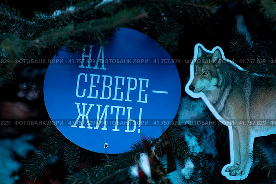 Девиз "На Севере - жить!" украшает елку Мурманской области в городе Москве, Россия (2023 год). Редакционное фото, фотограф Николай Винокуров / Фотобанк Лори