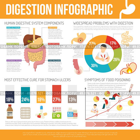 Digestion Infographic Set. Digestion infographic set with human digestive problems symbols flat isolated vector illustration . Стоковая иллюстрация, агентство Ingram Publishing / Фотобанк Лори