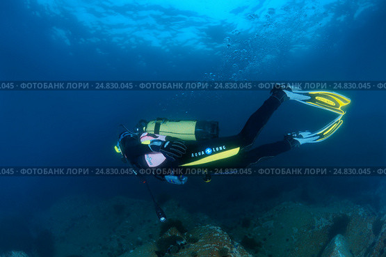 Diver, Sea of Japan, Far East (2014 год). Редакционное фото, фотограф Некрасов Андрей / Фотобанк Лори