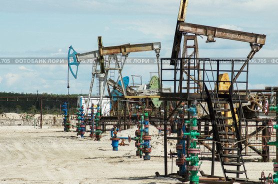 Добыча нефти в Западной Сибири. Группа нефтекачалок. Oil production in Western Siberia. A group of pumpjacks. Стоковое фото, фотограф Евгений Романов / Фотобанк Лори