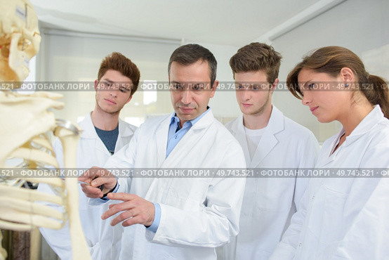 Doctor and students looking at skeleton. Стоковое фото, агентство Ingram Publishing / Фотобанк Лори