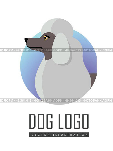 Dog Logo Vector of White Standard Poodle Isolated.. Dog logo vector illustration of white standard Poodle isolated. Single layer coat no undercoat is present composed of dense, curly fur. Medium size breed. Considered as hypoallergenic. Vector. Стоковая иллюстрация, агентство Ingram Publishing / Фотобанк Лори