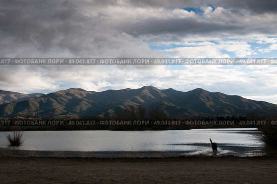 Dog silhouetted against a mountain lake. Стоковое фото, агентство Ingram Publishing / Фотобанк Лори