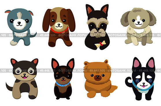 Dogs and puppies collection, poster with pets, of different breeds, pug and basset hound, labrador and chihuahua, dachshund dog on vector illustration. Dogs and Puppies Set Poster Vector Illustration. Стоковая иллюстрация, агентство Ingram Publishing / Фотобанк Лори