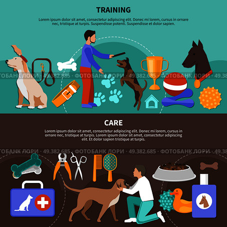 Dogs veterinary horizontal banners with flat images of training fetch prizes and vet equipment with text vector illustration. Dogs Vet Care Banners. Стоковая иллюстрация, агентство Ingram Publishing / Фотобанк Лори