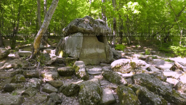 Дольмен в долине реки Жане. Dolmen in the valley of the river Zhane. Стоковое видео, видеограф Евгений Романов / Фотобанк Лори