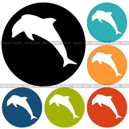 dolphin icon. Стоковая иллюстрация, агентство Ingram Publishing / Фотобанк Лори