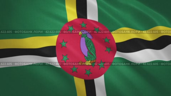 Dominica . Waving Flag Video Background. Стоковое видео, видеограф Станислав Парамонов / Фотобанк Лори
