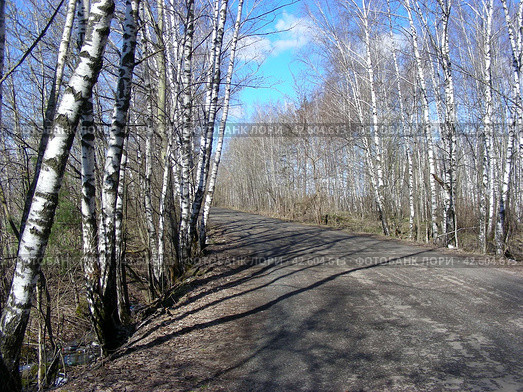 Дорога к дачным участкам. Ногинский район. Московская область (2013 год). Стоковое фото, фотограф lana1501 / Фотобанк Лори