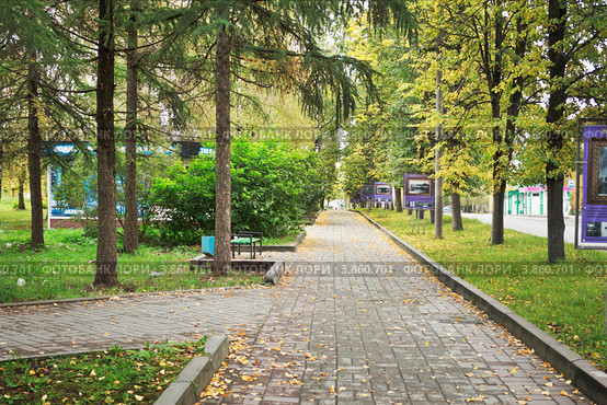 Дорожка в сквере на улице Ленина в Вытегре (2012 год). Редакционное фото, фотограф Александр Романов / Фотобанк Лори
