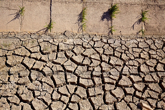 Dried irrigation ditch clay soil in Albufera rice fields of Valencia. Стоковое фото, агентство Ingram Publishing / Фотобанк Лори