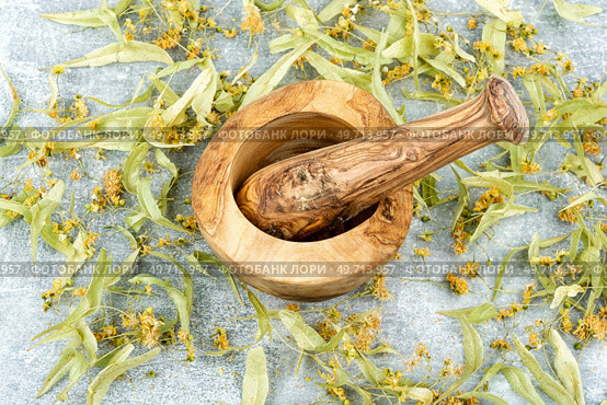 Dried linden flowers and mortar. Herbal medicine.. Dry linden inflorescences. Стоковое фото, агентство Ingram Publishing / Фотобанк Лори