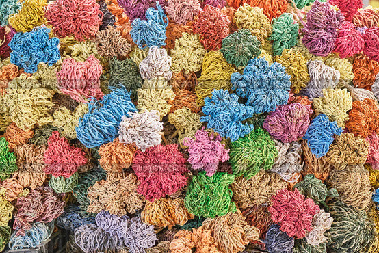 Dried, painted colorfully plants of Jericho rose, heart of desert. Стоковое фото, фотограф Ирина Кононова / Фотобанк Лори