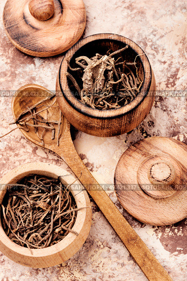 Dried rhizomes and roots of valerian medicinal.Natural herbal medicine. Dry root valerian. Стоковое фото, агентство Ingram Publishing / Фотобанк Лори