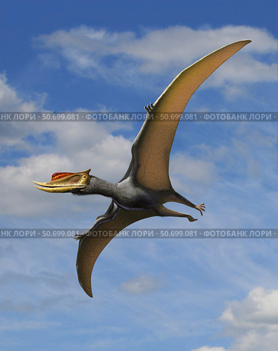 Dsungaripterus weii, a pterosaur from the Early Cretaceous Period. Стоковое фото, фотограф Sergey Krasovskiy/Stocktrek Images / ТАСС / Фотобанк Лори