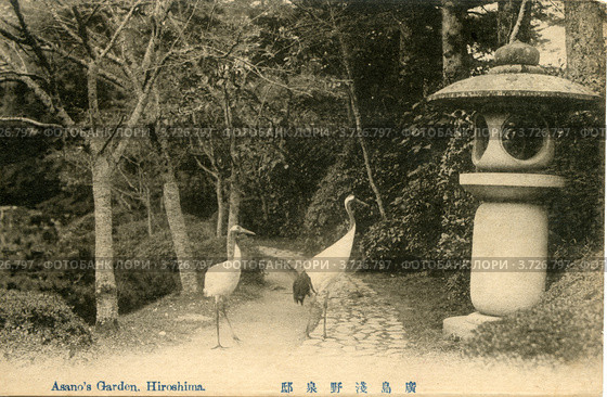 Два аиста в парке Асано, Хиросима, Япония. Стоковое фото, фотограф Иван Марчук / Фотобанк Лори