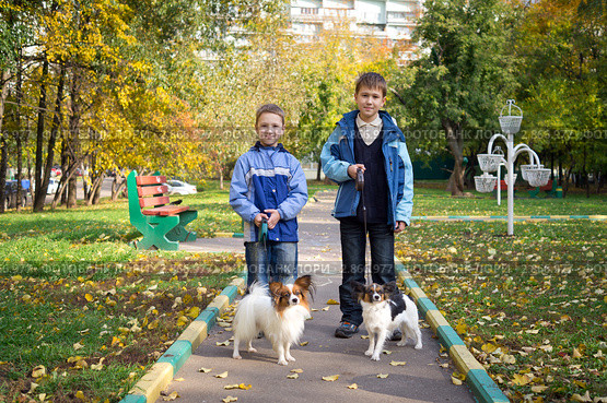 Два мальчика гуляют с собаками. Стоковое фото, фотограф Сергей Лаврентьев / Фотобанк Лори