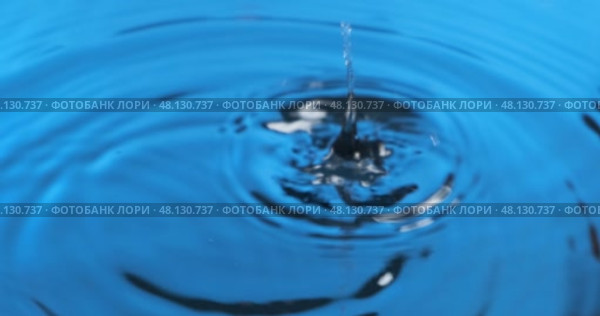 Две капли падают в голубую воду. Крупный план. Две капли воды разбрызгиваются. Узор в виде концентрических кругов на синем фоне. Стоковое видео, видеограф Александр Собко / Фотобанк Лори