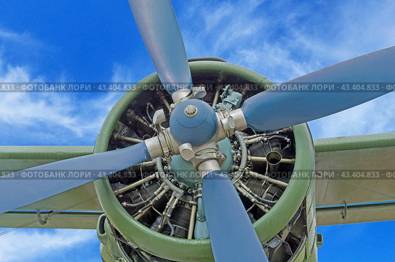 Двигатель и винт небольшого самолета на фоне неба. The engine and propeller of a small airplane against the sky. Стоковое фото, фотограф Татьяна Д / Фотобанк Лори
