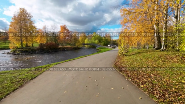 Движение вперед по безлюдной дорожке городского парка в ветреный солнечный день осени в городе Петрозаводске вдоль реки Лососинки (2023 год). Редакционное видео, видеограф Sergei Gorin / Фотобанк Лори