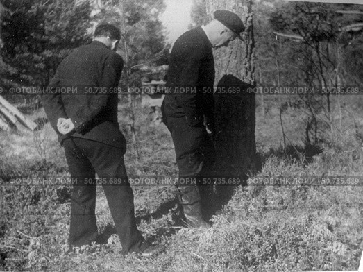 Двое мужчин разглядывают что-то у земли в лесу. Стоковое фото, фотограф Retro / Фотобанк Лори