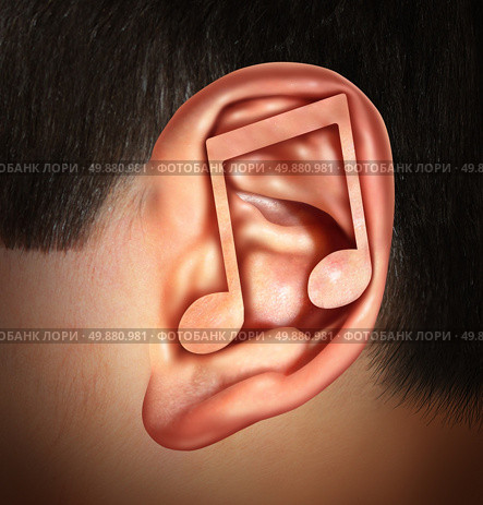 Ear for music concept and listening to entertainment audio symbol for human hearing of media as rock jazz hip hop blues and country music with a musical note shape in the anatomy as an icon of additory sense or tone deaf. Стоковое фото, агентство Ingram Publishing / Фотобанк Лори