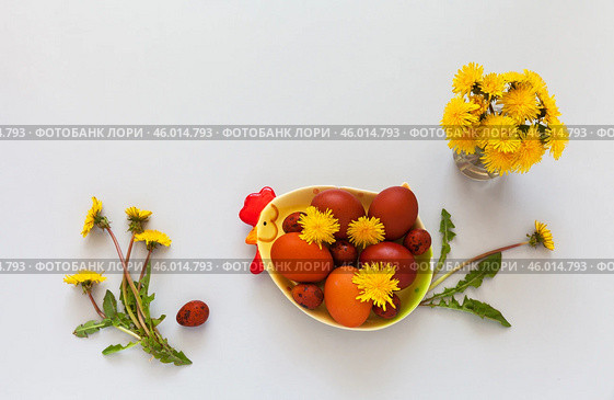 Easter composition with spring bouquet of yellow dandelion flowers and painted red Easter eggs on chicken-shaped plate on white table. Flat lay, copy space, mock up, top view, blank. Стоковое фото, фотограф Виктория Катьянова / Фотобанк Лори