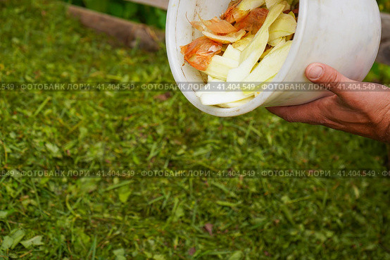 Ecology compost supply - kitchen waste recycling in backyard composter. Environmentally friendly lifestyle. The man throws leftover vegetables from the bowl. Стоковое фото, фотограф Ирина Старикова / Фотобанк Лори