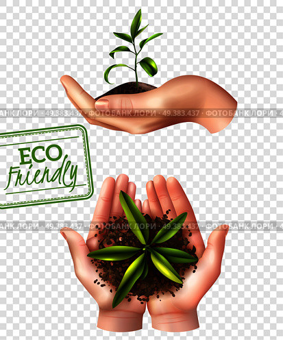 Ecology concept including lettering eco friendly, realistic female hands with sprout isolated on transparent background vector illustration . Eco Friendly Ecology Concept. Стоковая иллюстрация, агентство Ingram Publishing / Фотобанк Лори