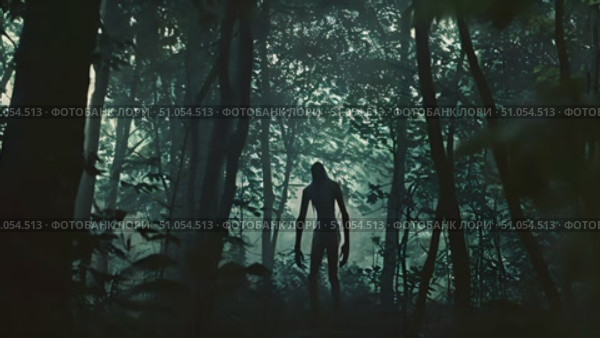Eerie shadowy silhouette emerges among trees in a mist-filled twilight forest. Стоковое AI-видео, аниматор Данила Большаков / Фотобанк Лори