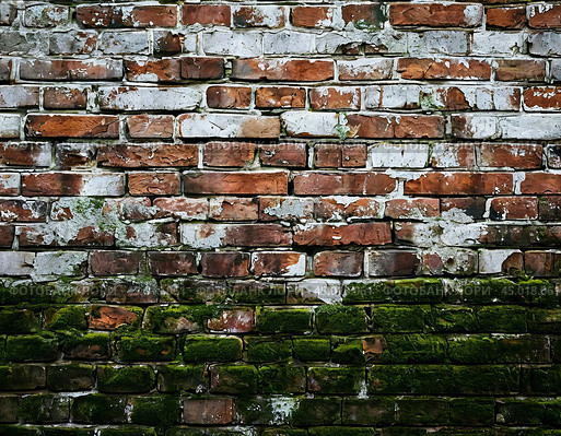 Efflorescence is a whitish trace on the surface of brickwork, represented by a mixture of chemical compounds of salts. Mold on a wet wall, lichens, moss. Стоковое AI-изображение, AI-художник Сергей Елизарьев / Фотобанк Лори