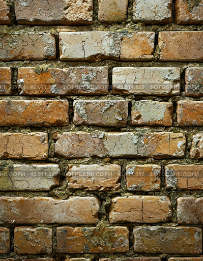 Efflorescence is a whitish trace on the surface of brickwork, represented by a mixture of chemical compounds of salts. Mold on a wet wall, lichens, moss. Стоковое AI-изображение, AI-художник Сергей Елизарьев / Фотобанк Лори
