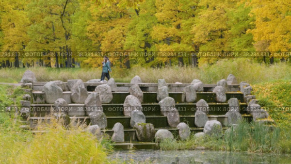 Екатерининский парк (Царское Село). Пруды Большого каскада, Чёртов мост. Catherine Park (Tsarskoye Selo). Ponds of the Grand Cascade, the Devil's Bridge. (2021 год). Редакционное видео, видеограф Евгений Романов / Фотобанк Лори