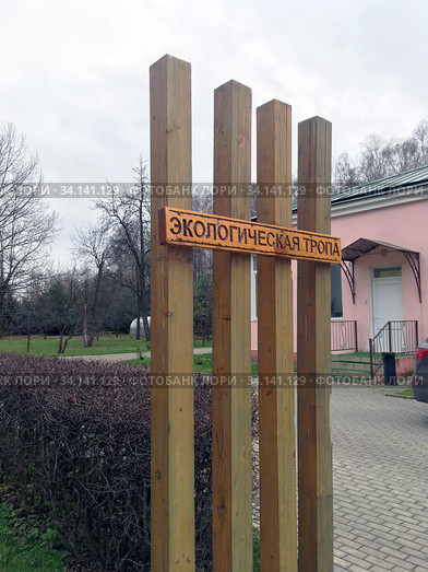 Экоцентр Кусково, экологическая тропа. Москва (2019 год). Редакционное фото, фотограф Мария Кылосова / Фотобанк Лори