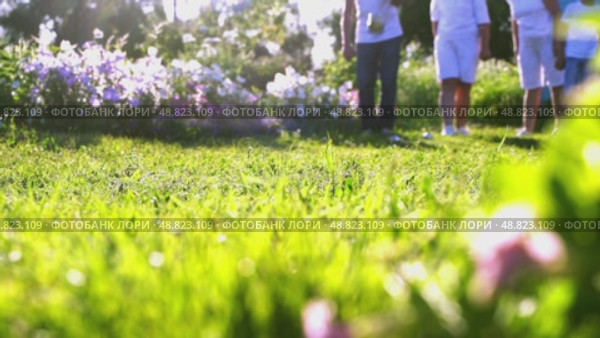Elderly people playing pétanque on grass. Стоковое видео, видеограф Igor Skripachev / Фотобанк Лори