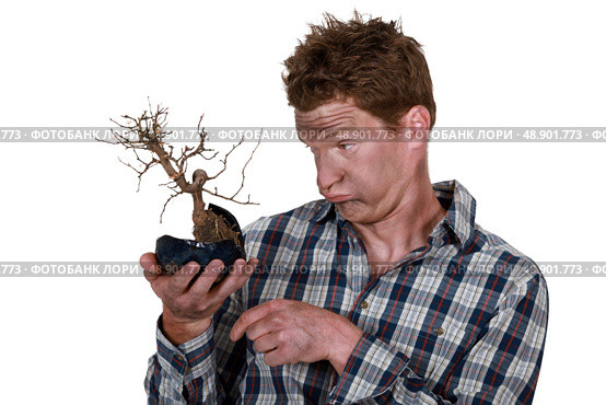 Electrocuted man holding a plant. Стоковое фото, агентство Ingram Publishing / Фотобанк Лори