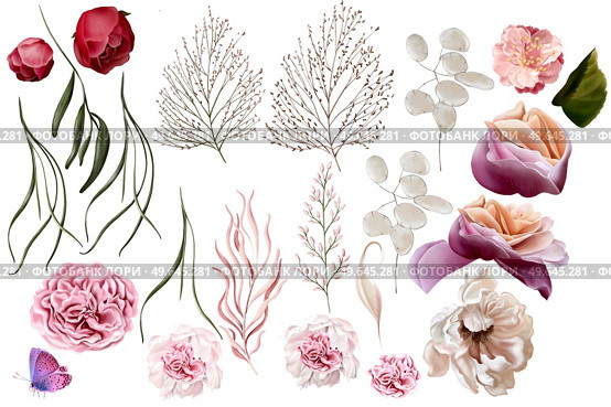 Elegant set with peonies, roses and eucalyptus leaves. Illustration. Elegant set with peonies, roses and eucalyptus leaves. Стоковое фото, агентство Ingram Publishing / Фотобанк Лори