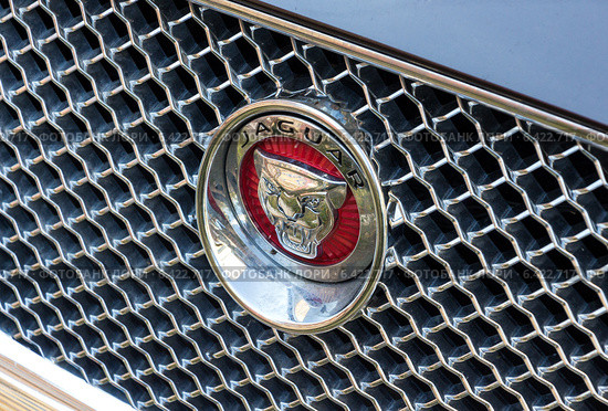 Эмблема автомобиля Jaguar на радиаторной решетке автомобиля. Редакционное фото, фотограф FotograFF / Фотобанк Лори