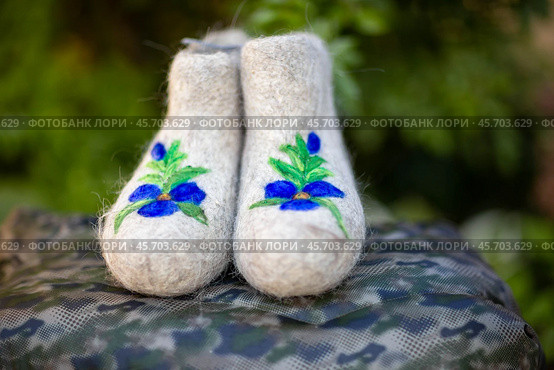 Embroidered valenki on a background of garden flowers (2020 год). Редакционное фото, фотограф Андриян Григорьевич Чаркин / Фотобанк Лори