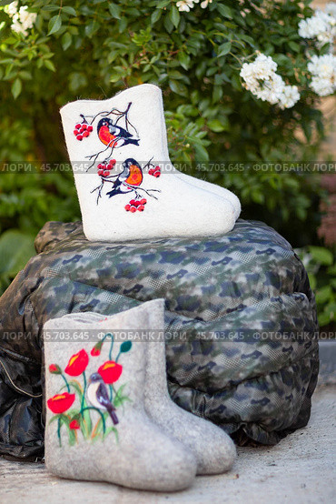 Embroidered valenki on a background of garden flowers (2020 год). Редакционное фото, фотограф Андриян Григорьевич Чаркин / Фотобанк Лори