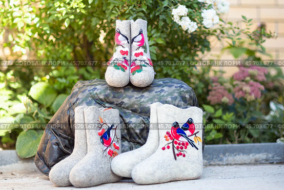 Embroidered valenki on a background of garden flowers (2020 год). Редакционное фото, фотограф Андриян Григорьевич Чаркин / Фотобанк Лори