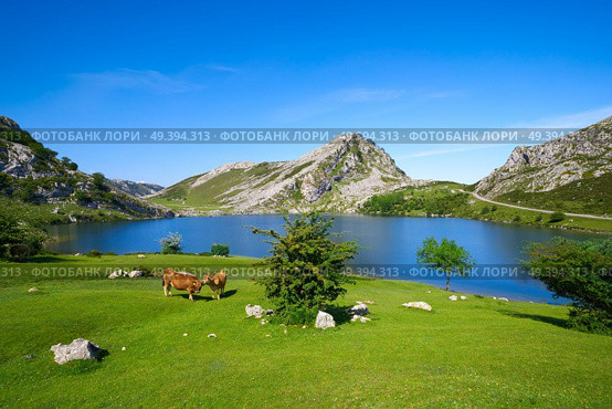 Enol lake at Picos de Europa in Asturias of Spain. Стоковое фото, агентство Ingram Publishing / Фотобанк Лори
