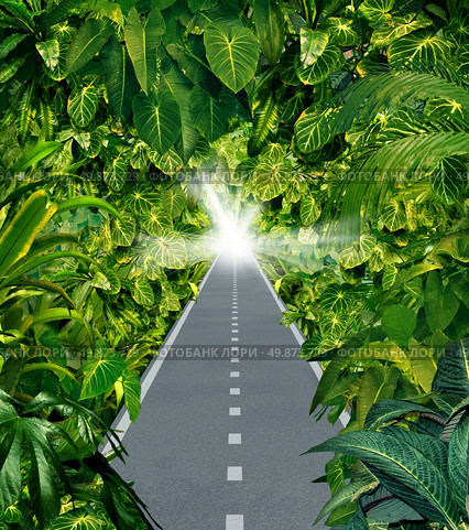 Escape the jungle as a business symbol of escaping the chaos and dangers of city life with a road through a dark thick tropical forest leading to a beaming light of hope out of the hazardous wilderness. Стоковое фото, агентство Ingram Publishing / Фотобанк Лори