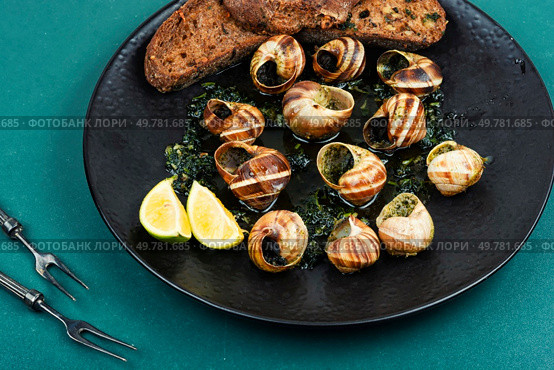 Escargots de Bourgogne, baked snails with garlic, butter and greens. French traditional food.. Mediterranean escargot delicacy snails. Стоковое фото, агентство Ingram Publishing / Фотобанк Лори
