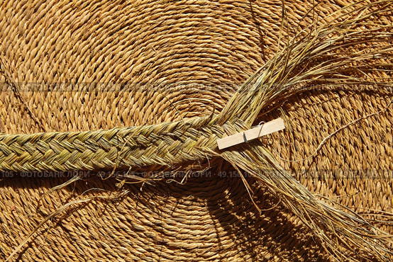 Esparto halfah grass used for crafts as cords basketry and espadrilles. Стоковое фото, агентство Ingram Publishing / Фотобанк Лори