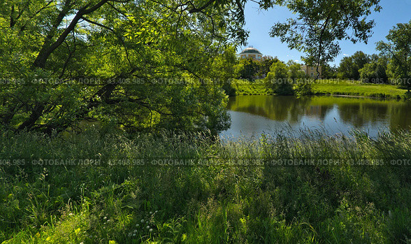 Estate of Counts Chernyshevs, Alexandrino Park. Summer panorama. Russia, Saint-Petersburg. Стоковое фото, фотограф Елена  Попкова / Фотобанк Лори