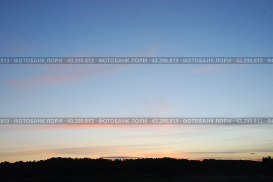 Evening sky over the forest. Стоковое фото, фотограф Andrew_Swarga / Фотобанк Лори