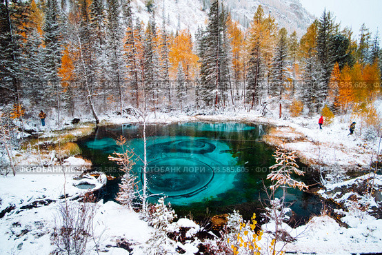 Fantastic blue geyser lake in the autumn forest. Altai, Russia. Стоковое фото, фотограф Евгений Глазунов / Фотобанк Лори