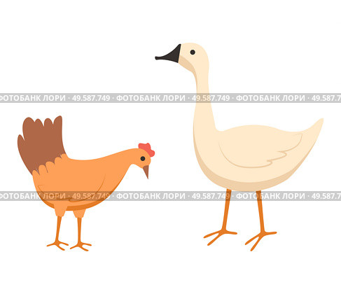 Farming vector, isolated hen and goose eating food from ground, chicken with beak and plumage, domestic agriculture and caring for pets animals flat style. Goose and Chick at Farm Vector Agriculture Farming. Стоковая иллюстрация, агентство Ingram Publishing / Фотобанк Лори